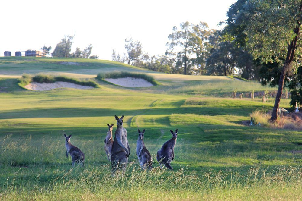 Riverside Oaks Golf Resort Cattai Extérieur photo