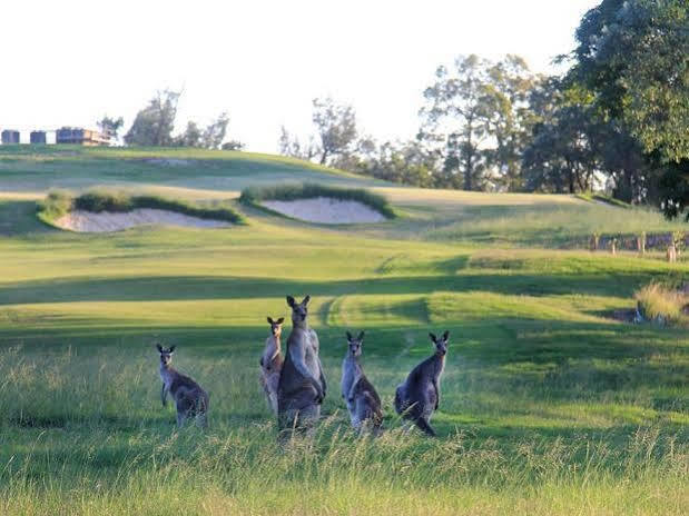 Riverside Oaks Golf Resort Cattai Extérieur photo